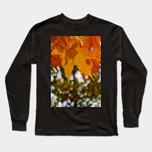 Hanging Orange Maple Leaves in Autumn Long Sleeve T-Shirt